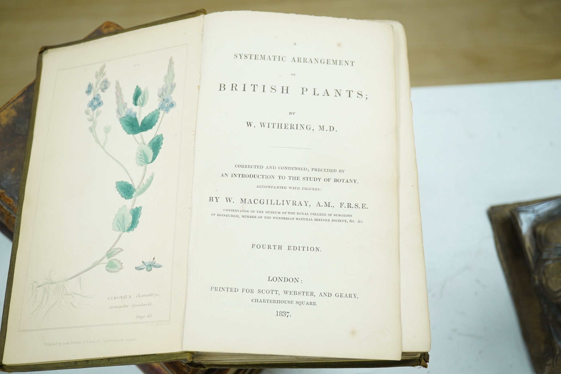 The Florist - Volume First. coloured plates and other illus.; old half calf and marbled boards. 1848; Hooker, William - The English Flora of Sir James Edward. class xxiv Cryptogamia (vol. V, Pt.1). old half calf and marb